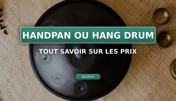 Wie viel kostet ein Handpan (oder Hang drum)?